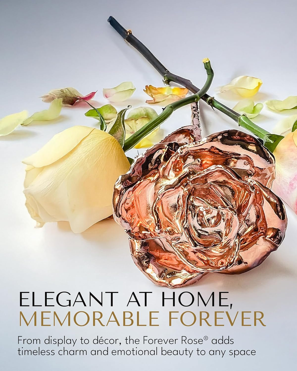 Luxurious Real Rose Dipped in Rose Gold - Handcrafted Preserved Beauty in Elegant Gold Gift Box | Perfect Romantic Keepsake for Anniversaries, Valentine's Day, or Birthdays